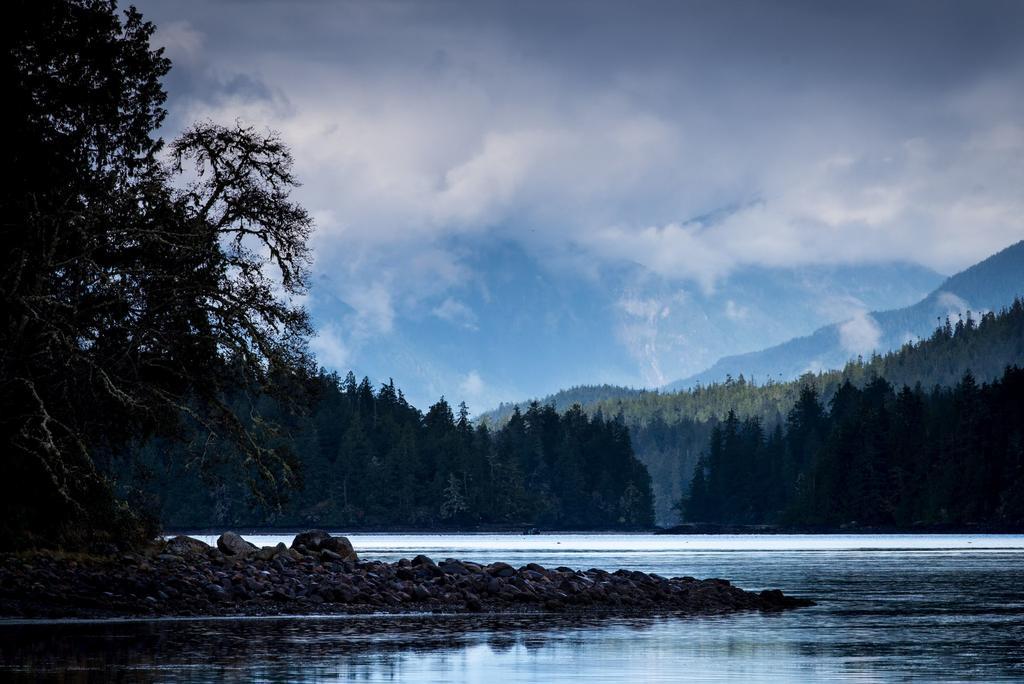 Ecolodge - Tofino Exteriér fotografie