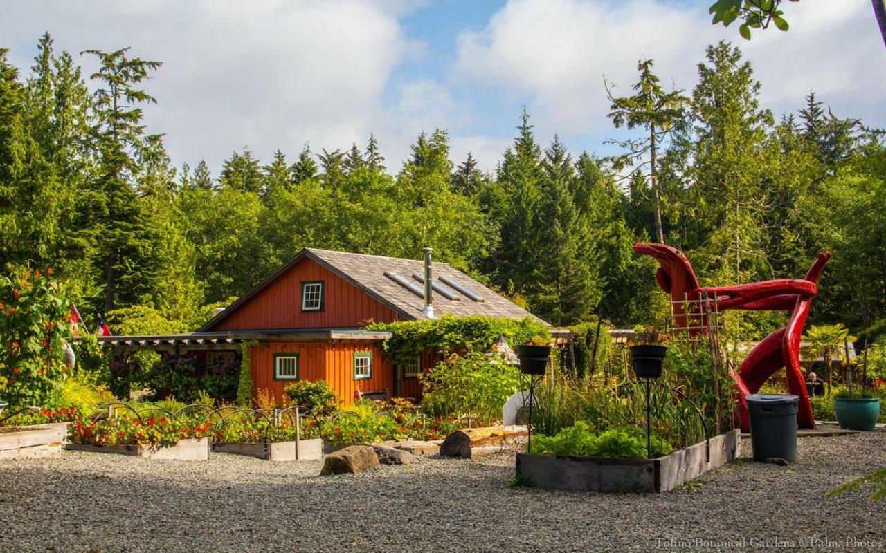Ecolodge - Tofino Exteriér fotografie