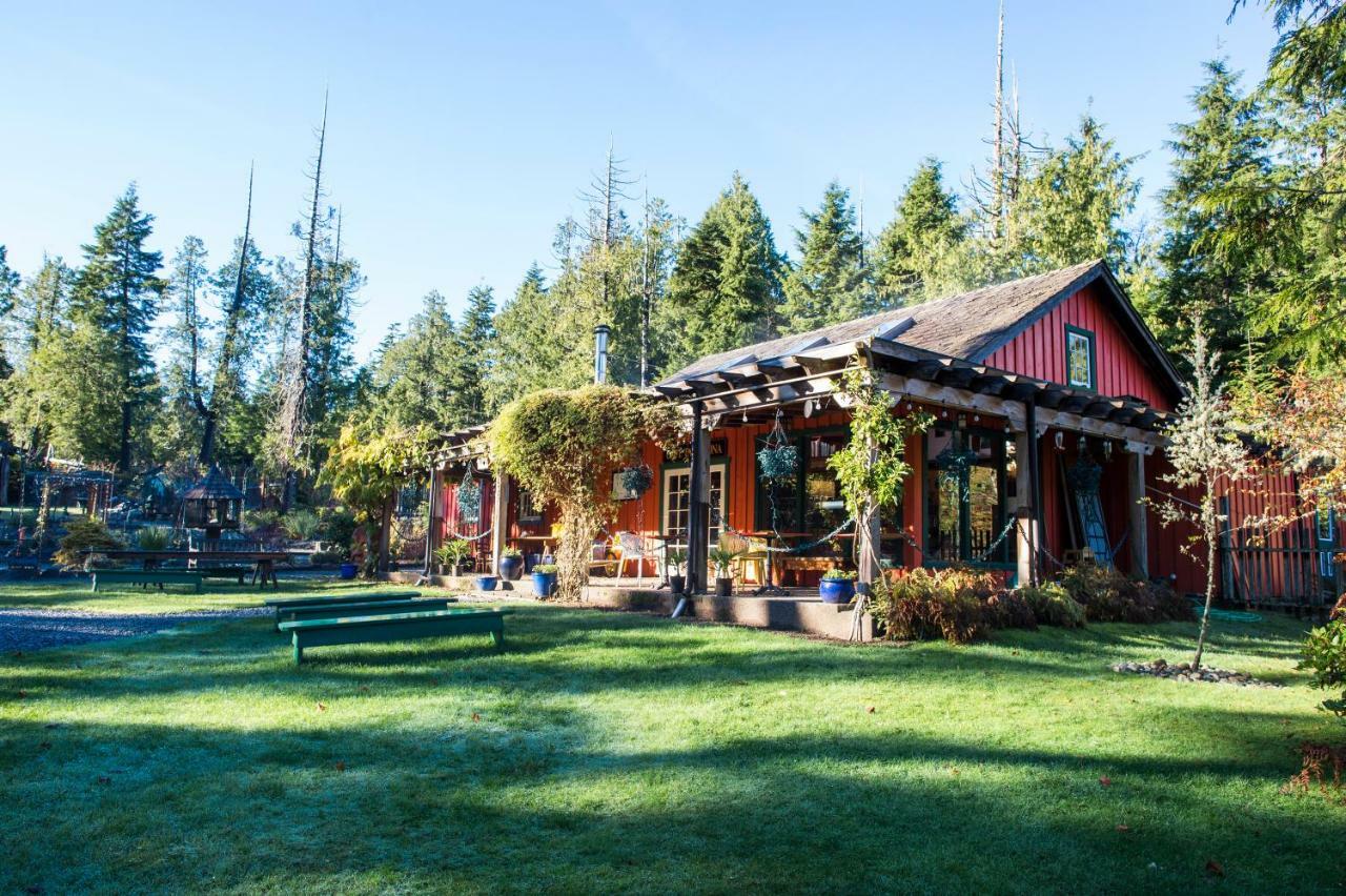 Ecolodge - Tofino Exteriér fotografie